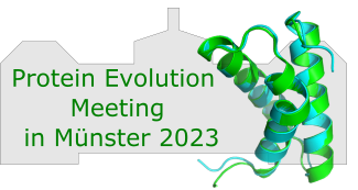 Protein Evolution Meeting in Münster/ Poster Session